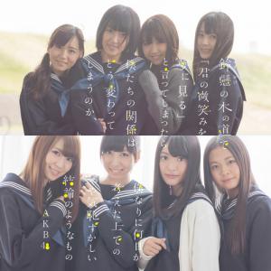 Kimi no Hohoemi wo Yume ni Miru (Type N)