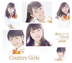 Itooshikutte Gomen ne / Koi Dorobou (Regular Type A)