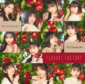 My Days for You / Kanashimi ga Tomaranai (SP)